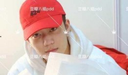 圈内爆料李小璐事件,娱乐圈风波再起，真相扑朔迷离